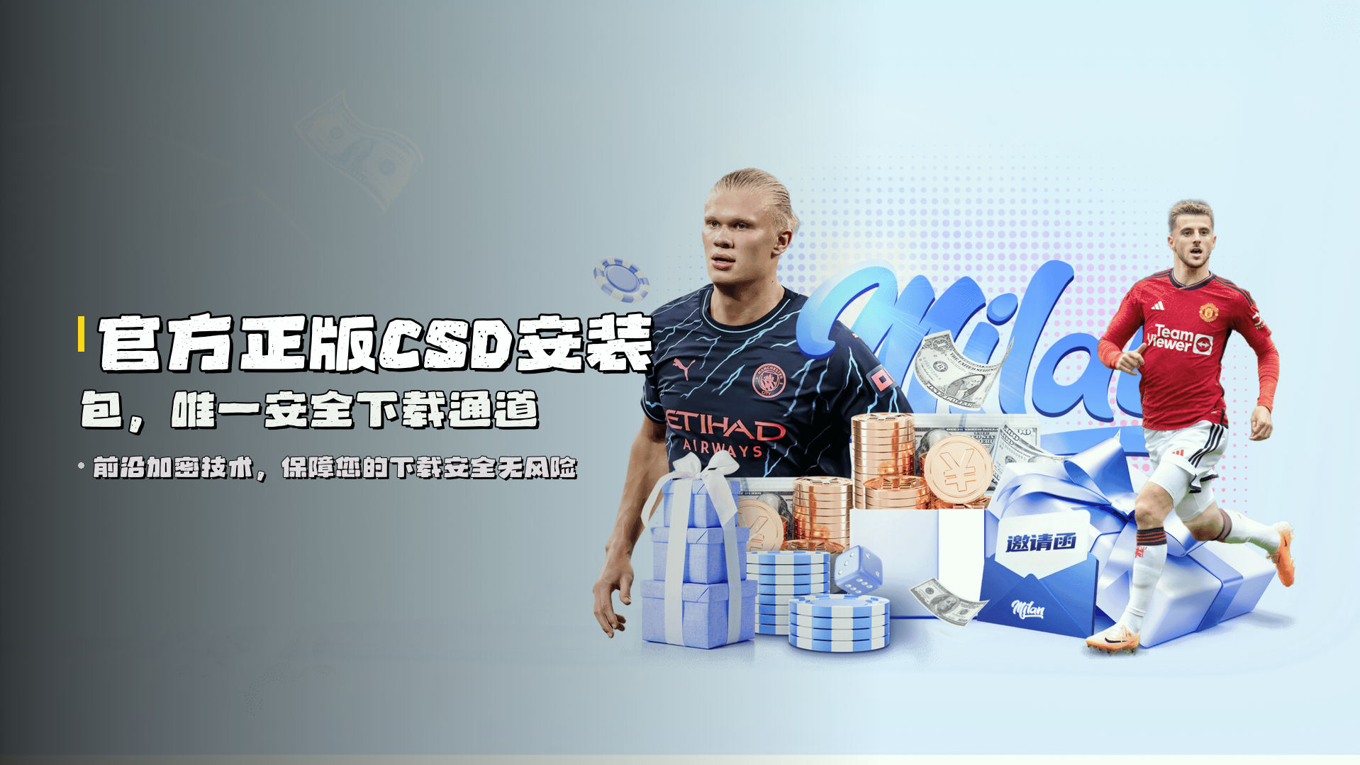 官方正版<strong>CSD安装包</strong>，唯一安全下载通道