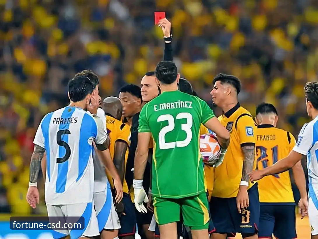 阿根廷锋线新星重伤折戟世界杯：一次战术缺失与未来变数的深度分析